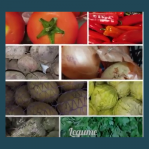 Procesul alimentar în sectorul Ciocana