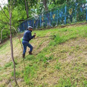 Cositul ierbii – IET nr. 32, str. M. Sadoveanu, 2/2!
