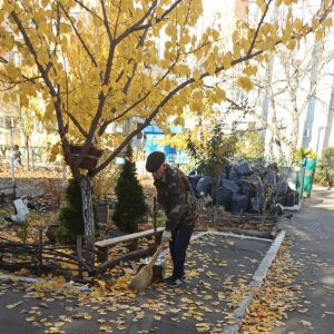 Salubrizarea teritoriului IET nr. 32, str. M. Sadoveanu 2/2!