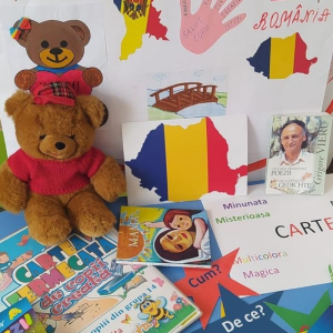 Educație online fără hotare. Prietenie peste pandemie