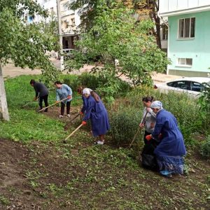 Campania de salubrizare de toamnă